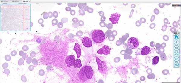 玻片掃描儀1 玻片掃描儀1