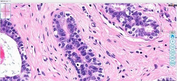 玻片掃描儀3 玻片掃描儀3