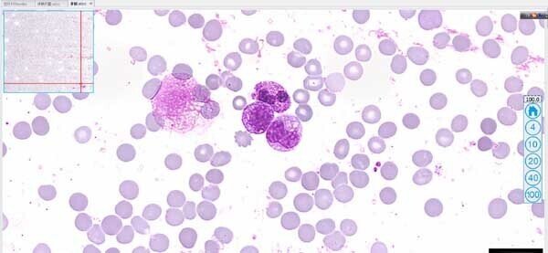 玻片掃描儀2 玻片掃描儀2