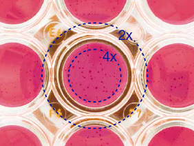 倒置生物顯微鏡 CKX53-4 倒置生物顯微鏡 CKX53-4