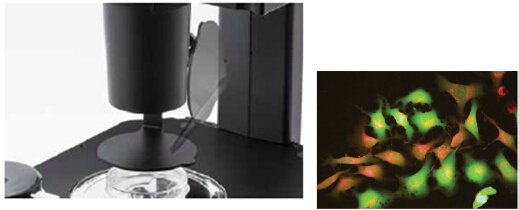 倒置生物顯微鏡 CKX53-7 倒置生物顯微鏡 CKX53-7