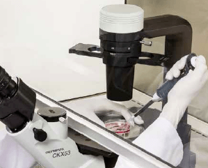 倒置生物顯微鏡 CKX53-8 倒置生物顯微鏡 CKX53-8