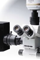 奧林巴斯體視SZX7顯微鏡4 奧林巴斯體視SZX7顯微鏡4