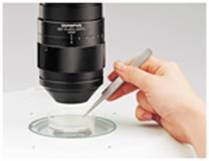 奧林巴斯體視SZX16顯微鏡4