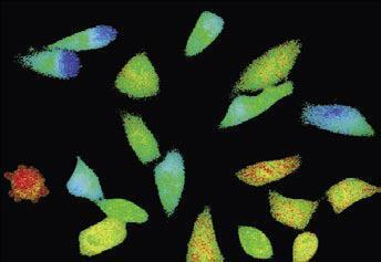 OLYMPUS活細胞工作站CELL R4 OLYMPUS活細胞工作站CELL R4