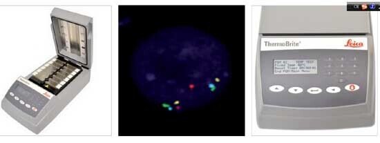 徠卡原位雜交儀(THERMOBRITE 徠卡原位雜交儀(THERMOBRITE