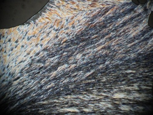 高分子材料在顯微鏡的觀察(國產偏光顯微鏡及K-L成像系統)3