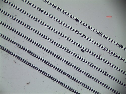 光刻工藝成果顯微鏡下的展示(國產金相顯微鏡及320萬像素數碼采集裝置)1
