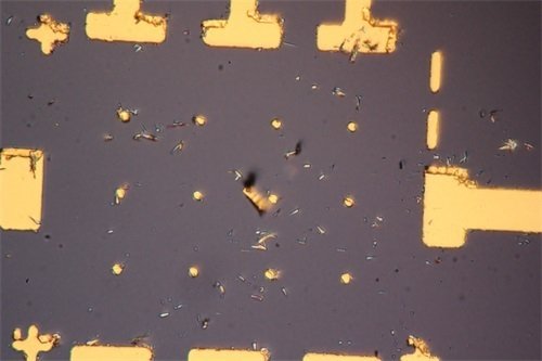 納米線在金相顯微鏡的微觀圖展示(金相顯微鏡及K-L圖像采集系統)1