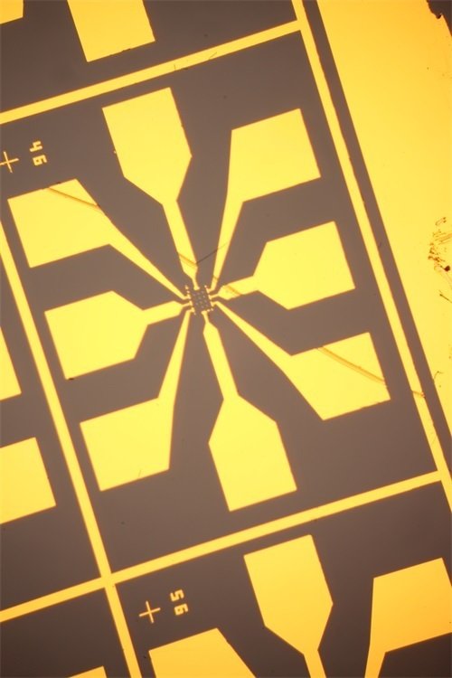 納米線在金相顯微鏡的微觀圖展示(金相顯微鏡及K-L圖像采集系統)3