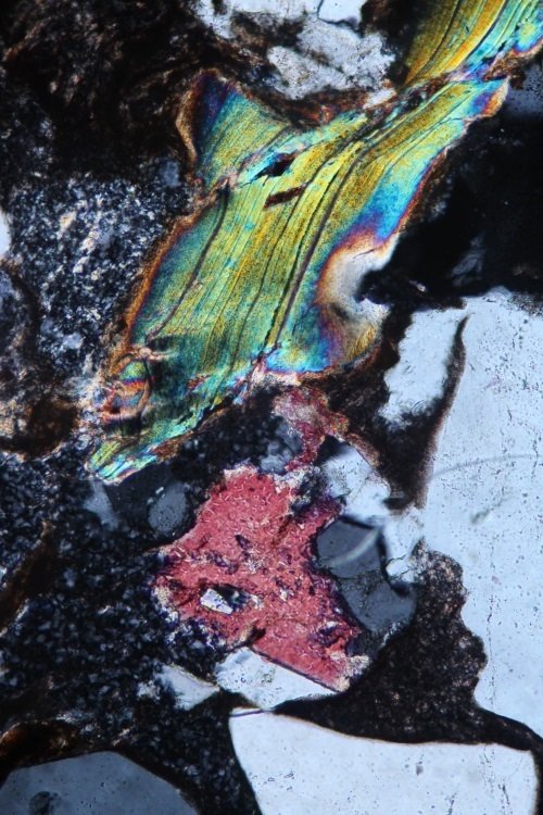 UPT-LV320偏光顯微鏡實拍效果圖4