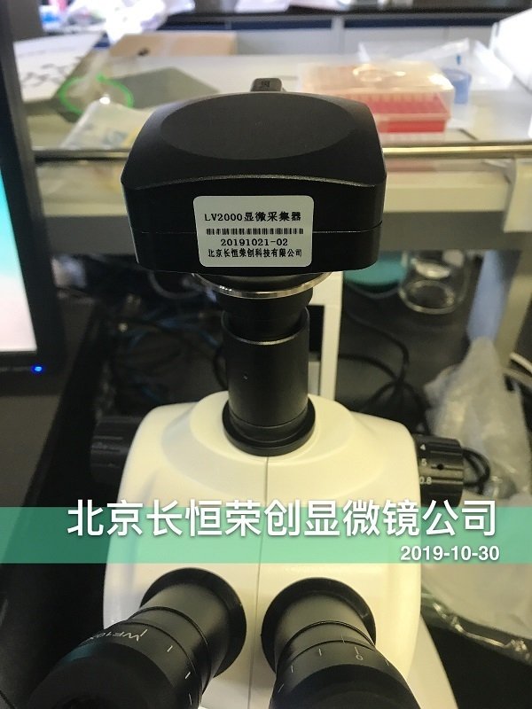 數碼體視顯微鏡安裝于山東大學3