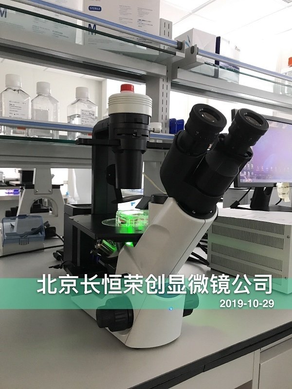 奧林巴斯CKX53熒光顯微鏡安裝于免疫方舟公司2 奧林巴斯CKX53熒光顯微鏡安裝于免疫方舟公司2