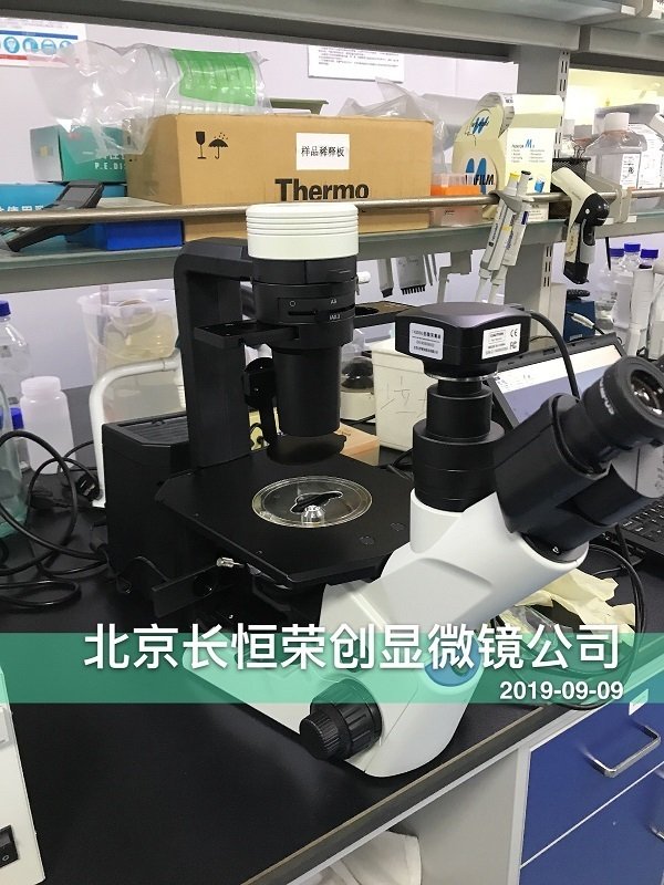 奧林巴斯倒置CKX53熒光顯微鏡安裝于北京大學