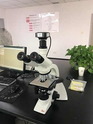 徠卡DM1000生物顯微鏡安裝于北京昭衍藥業(yè)