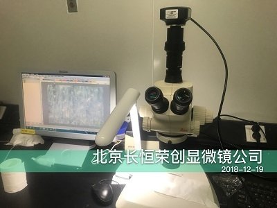 徠卡SApO體視顯微鏡安裝于中科院遺傳所 徠卡SApO體視顯微鏡安裝于中科院遺傳所