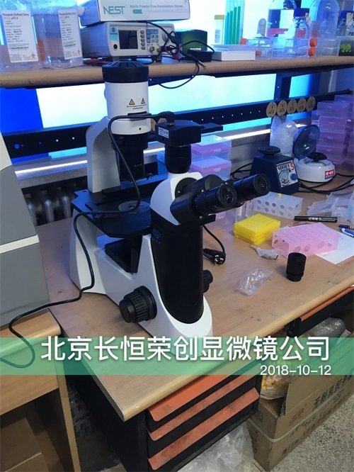 國產倒置顯微鏡現在照明系統全部升級為LED照明,國產倒置顯微鏡物鏡更換為相差產品。我公司銷售的國產倒置顯微鏡全部質保5年。 國產倒置顯微鏡現在照明系統全部升級為LED照明,國產倒置顯微鏡物鏡更換為相差產品。我公司銷售的國產倒置顯微鏡全部質保5年。