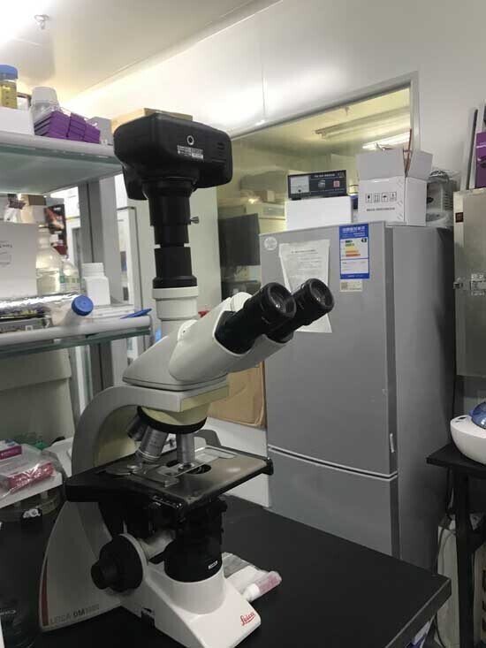 徠卡顯微鏡與相機連接接口安裝于北京醫藥公司 徠卡顯微鏡與相機連接接口安裝于北京醫藥公司