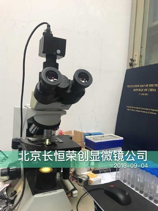 20190215151568456845 20190215151568456845