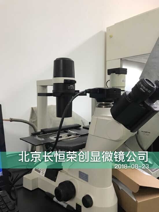 顯微鏡攝像頭安裝于中國科學院動物所1