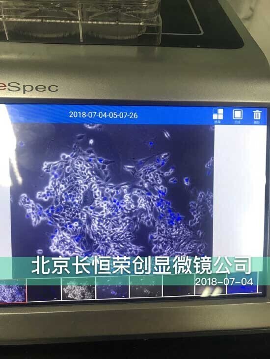 2018年 智能細胞成像系統安裝于河北農業大學2