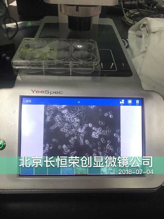 2018年 智能細胞成像系統安裝于河北農業大學3
