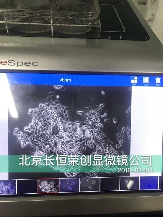 2018年 智能細胞成像系統安裝于河北農業大學