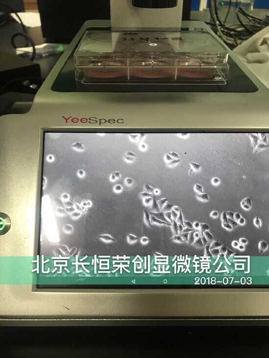 2018年 智能細胞成像儀安裝于清華大學2