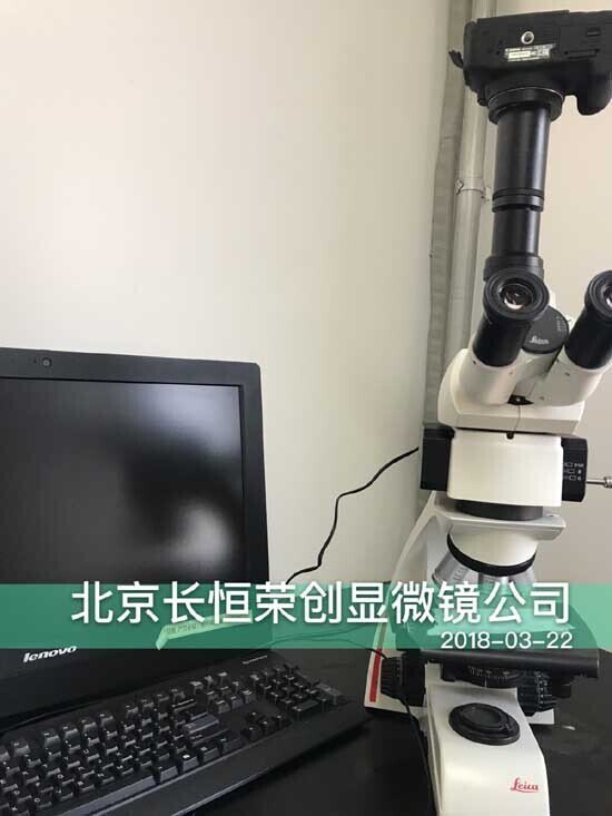 2018年 徠卡熒光顯微鏡安裝于中國農業科學院2