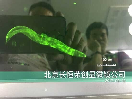 2017年 智能細(xì)胞成像系統(tǒng)安裝于北大醫(yī)院3