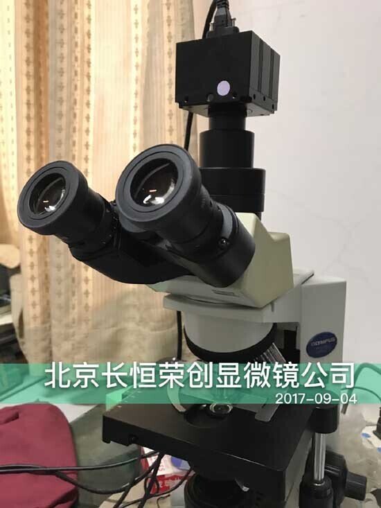 2017年 奧林巴斯顯微鏡數碼采集裝置再次被中科院植物研究所采購3