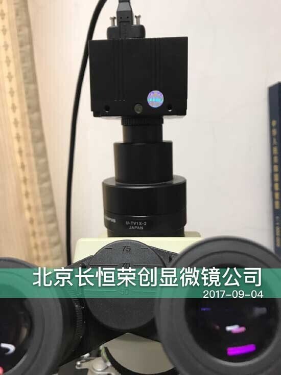 2017年 奧林巴斯顯微鏡數碼采集裝置再次被中科院植物研究所采購2