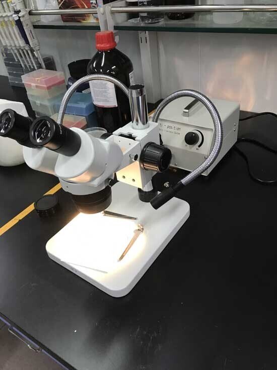 2017年 國產體視顯微鏡安裝于北京化工大學1