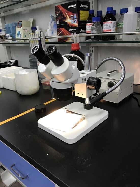 2017年 國產體視顯微鏡安裝于北京化工大學2