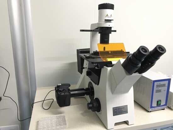 國產熒光顯微鏡產品展示