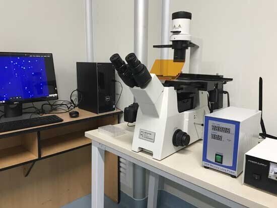 國產熒光顯微鏡產品展示
