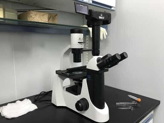 2017年 國產(chǎn)倒置顯微鏡安裝于中國醫(yī)科院藥植所2