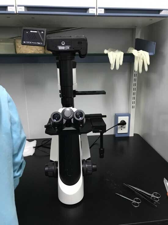 2017年 國產(chǎn)倒置顯微鏡安裝于中國醫(yī)科院藥植所1