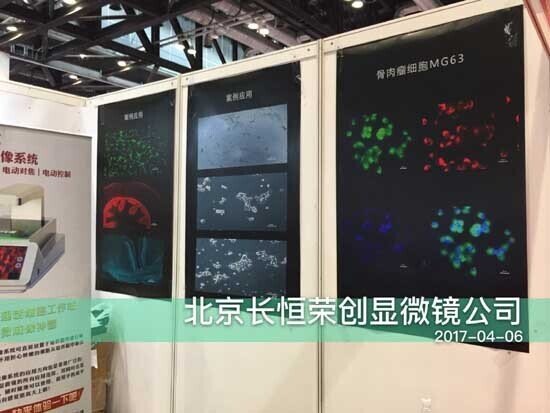 2017年 智能細胞成像系統亮相于中國科學儀器展1