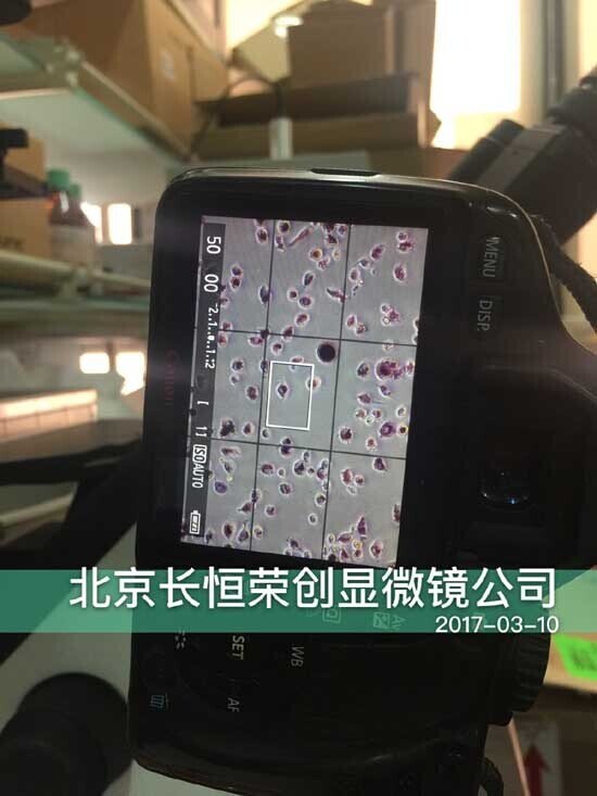 2017年 尼康倒置顯微鏡TS2安裝于中國農業大學3