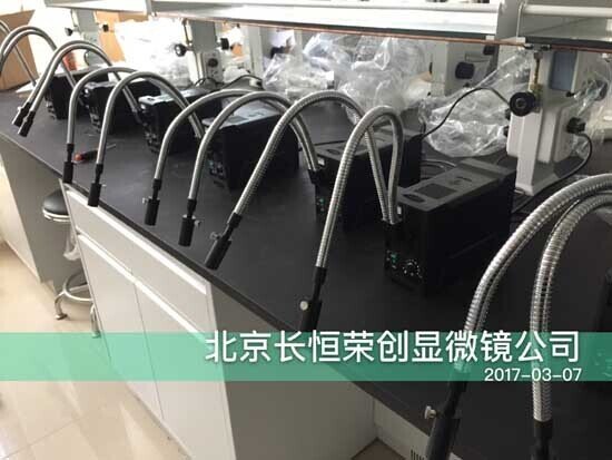 2017年 顯微鏡雙分支冷光源中標中國科學院大學1