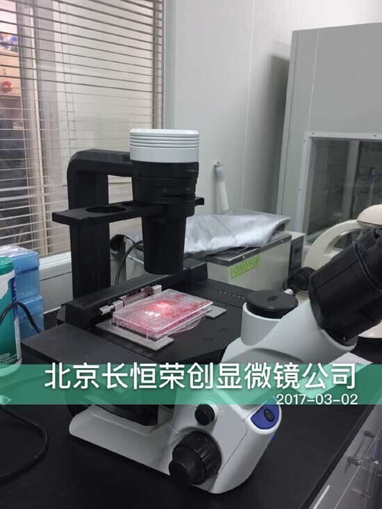 2017年 奧林巴斯倒置顯微鏡CKX53安裝于國家納米中心1