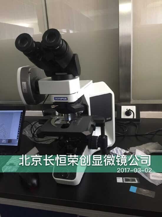 2017年 北京林業(yè)大學(xué)奧林巴斯BX53顯微鏡雙目升級(jí)三目數(shù)碼顯微鏡2