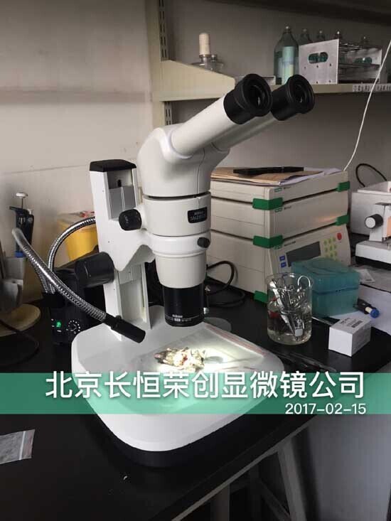 2017年 尼康體視顯微鏡安裝于中國軍事醫學科學院1