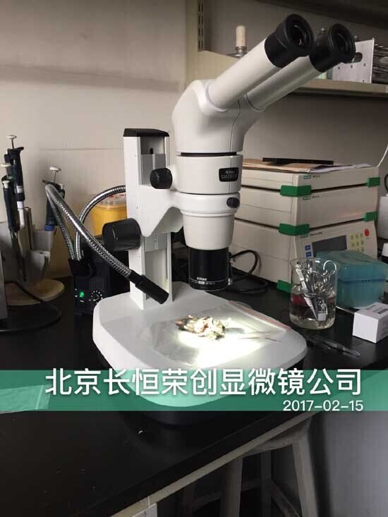 2017年 尼康體視顯微鏡安裝于中國軍事醫學科學院2