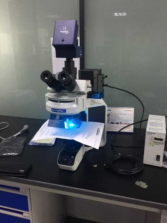 2017年 奧林巴斯熒光顯微鏡安裝于北京協(xié)和醫(yī)院2