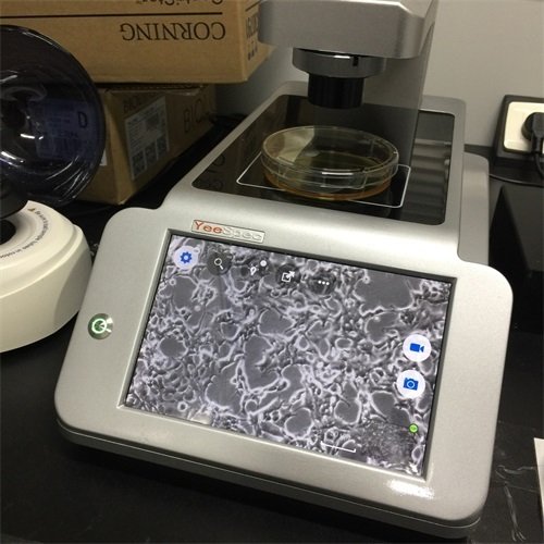 2016年12月 倒置顯微鏡安裝于藥植所3