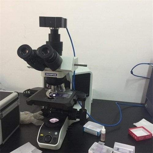 2016年12月 染色體核型分析系統(tǒng)安裝協(xié)和醫(yī)院2