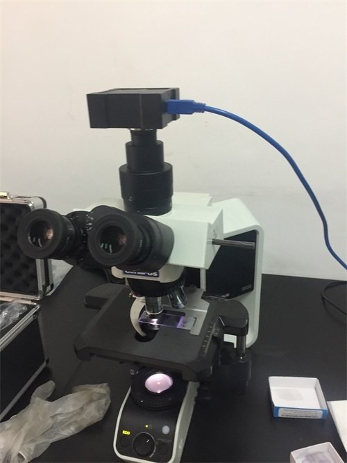 2016年12月 染色體核型分析系統(tǒng)安裝協(xié)和醫(yī)院1