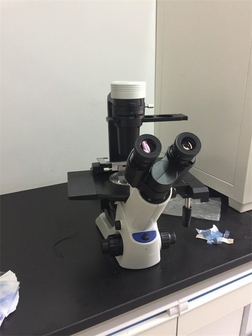 2016年12月 奧林巴斯CKX53顯微鏡安裝于河北大學1